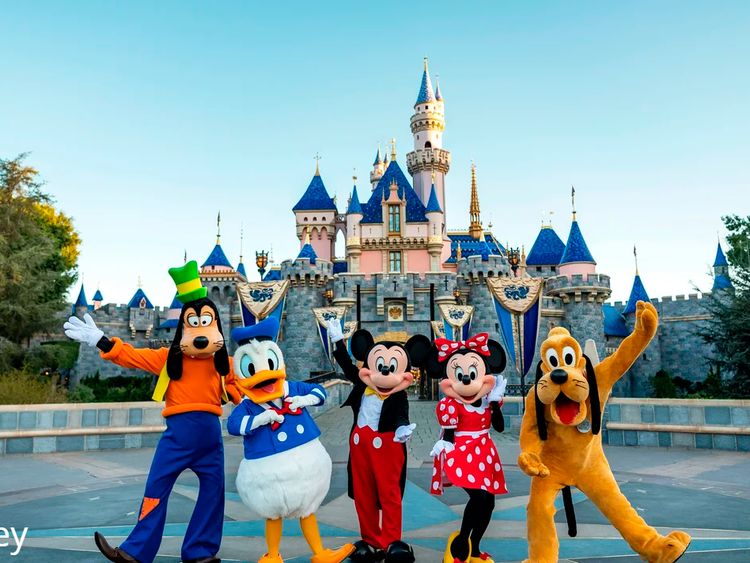 Disneyland Limousine Service